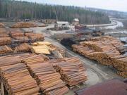 Предлагает к продаже лес - кругляк из России регионов Сибири^